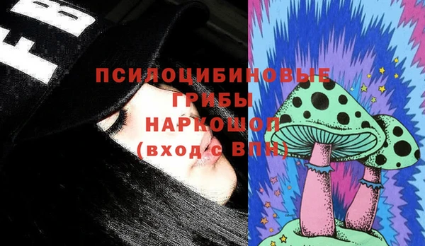 наркотики Бородино