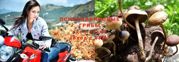 наркотики Бородино