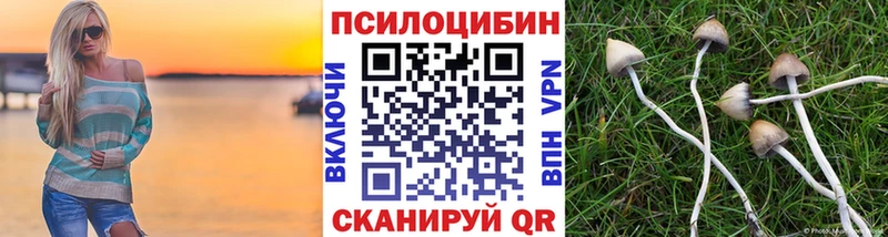 Псилоцибиновые грибы Psilocybine cubensis Рыбинск